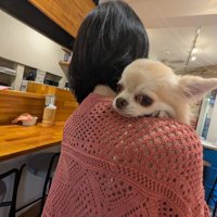 抱っこ