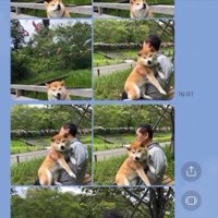 お出かけ