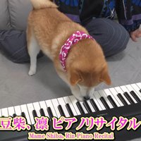 リサイタル開催！