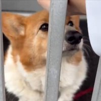 不安そうな
