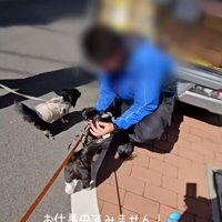 恐縮する飼い主さん