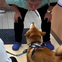 息をふきかけて対抗