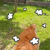 ララちゃんの熱烈歓迎9