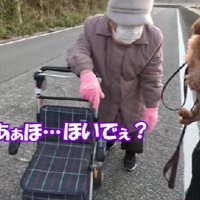 「ほいで…？」