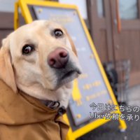 パン屋さんに寄ってお買い物