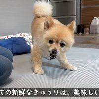 「美味しい～♡」