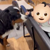 バナナをあげる赤ちゃん