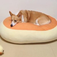 落ちちゃった…