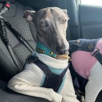 おっさんみたい！？