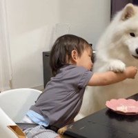 「バカにしないで！！」