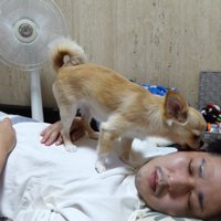 「起きて～！」とお顔をペロペロ