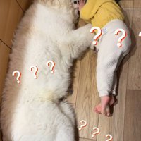 とと丸ちゃんだけ巨大化！！