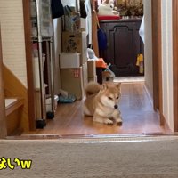 ちょっぴり拗ねている？