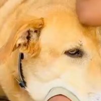 いつでも