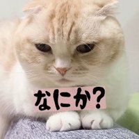 「なんてことしてくれた…」