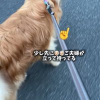 ピノくんとご夫婦の再会