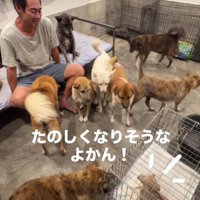 これからたくさん幸せが待ってる