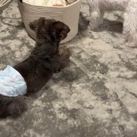 赤ちゃんを見守っています