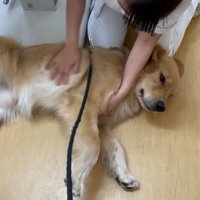 寝転がって甘えん坊全開♡