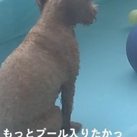 哀愁漂う背中