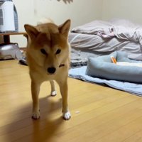 伸びが終わったら…