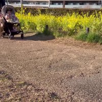 みんなでお散歩に♪