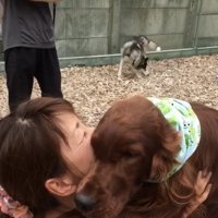 抱きついたままの犬