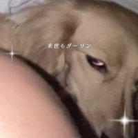 にらみつけるまろんちゃん