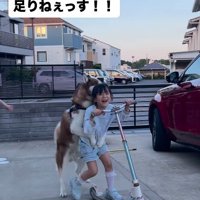 とっても楽しそう♪