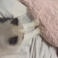 フミフミを始めた♡