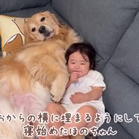 豪快な寝姿の2人にホッコリ