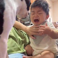 赤ちゃんが泣いた時のごろちゃん2