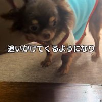 テープくんの変化9