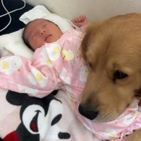 赤ちゃんとの出会いで…