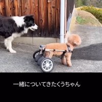 さくまるくんを見守る