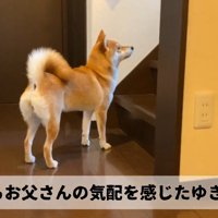 「そろそろ来るかな？」