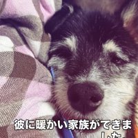 里親さんに引き取られたツナ君