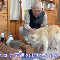 強面顔のおじいちゃんが…