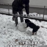 雪だるまを壊していく千幸ちゃん