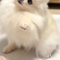 姪っ子