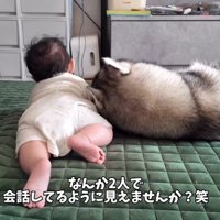 兄弟が会話しているような光景！？