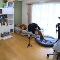 体調不良時のよもぎちゃん＆だいず君の対応4