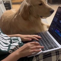 お仕事中の飼い主さんに甘える麹くん