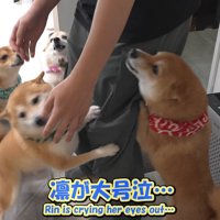 飛びついて熱烈大歓迎！