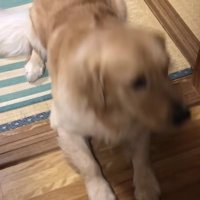 ふせも完璧な仕上がり