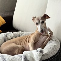 「リアル」な姿です