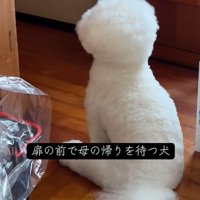 RAUくんの熱烈大歓迎