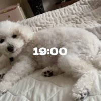 見習いたい切り替えの速さ