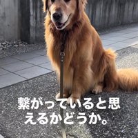 笑顔のチェスターくん
