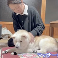 やっぱりみんな一緒がいいよね